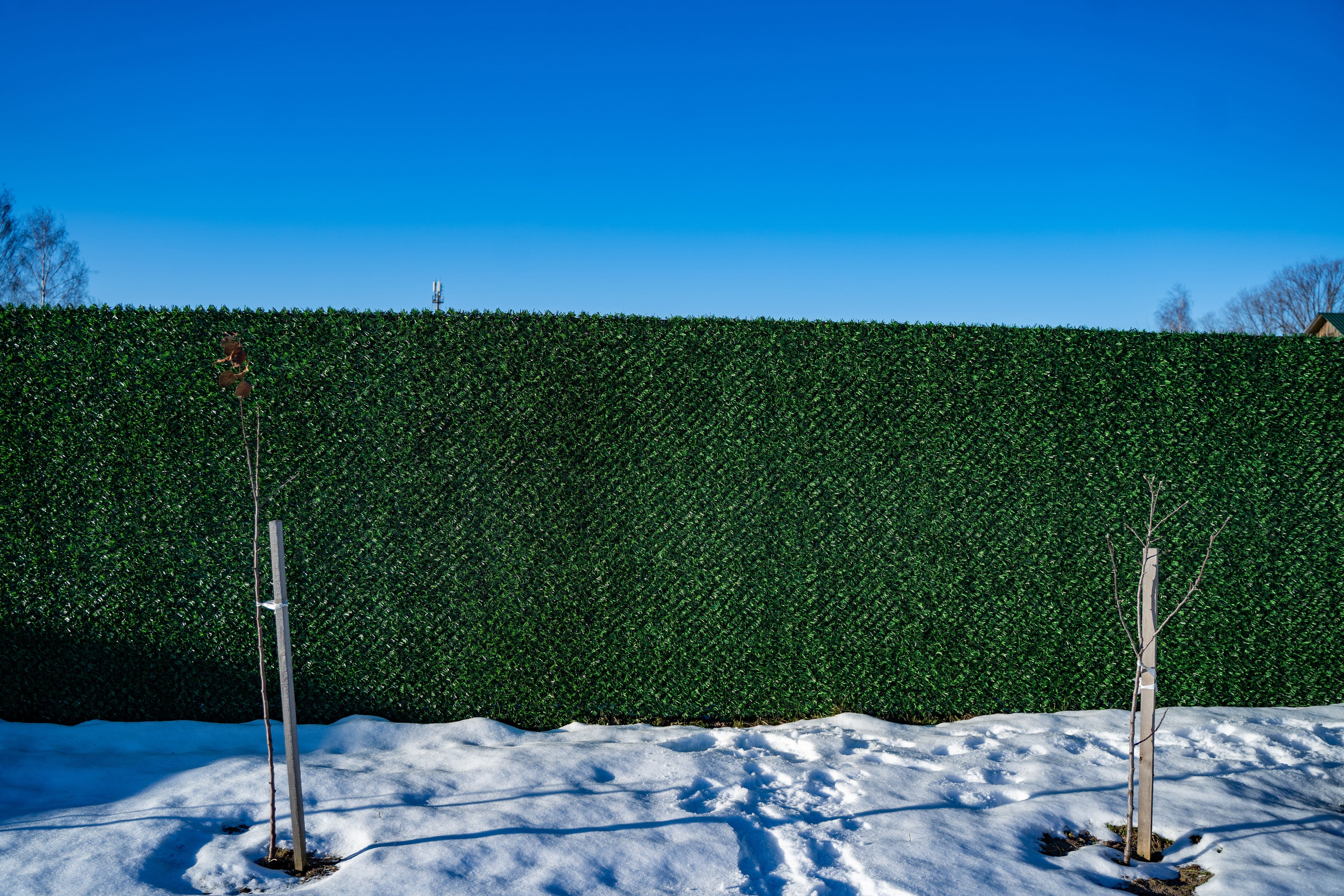 Вечнозеленый забор Grass Fence рулон 2м фото 8 в Луганске